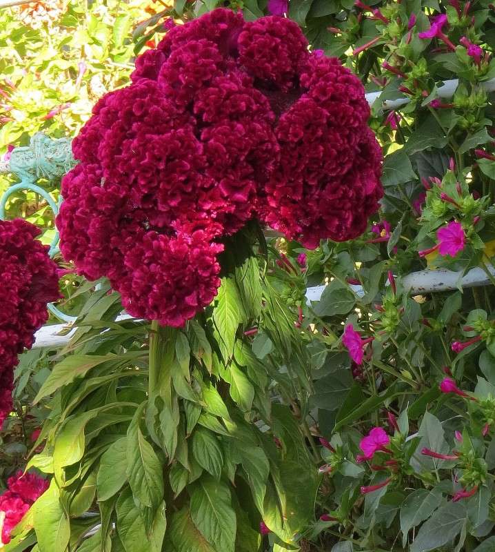 � ��������� ��������� ... ) ����� Natali  ��������� �� PhotoGeek.ru #������ ��� ������� #����� ��������������