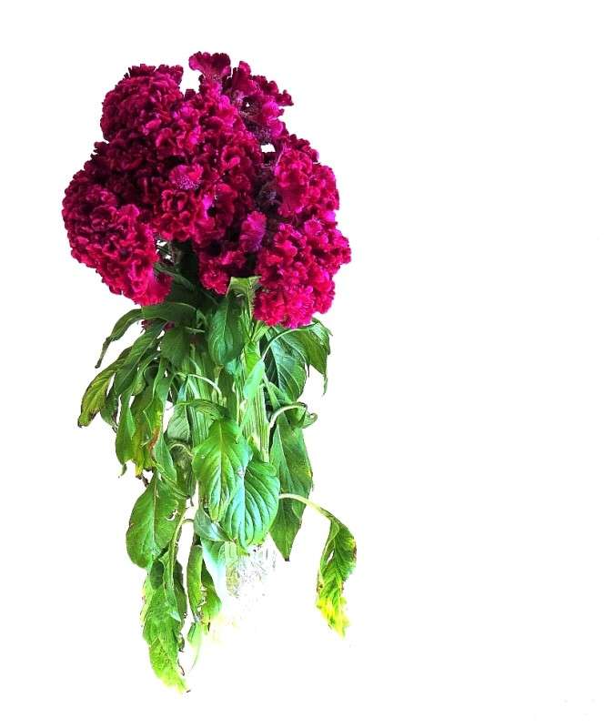 � ���������   ��������� ... ) 3 ����� Natali  ��������� �� PhotoGeek.ru #������ ��� ������� #����� ��������������