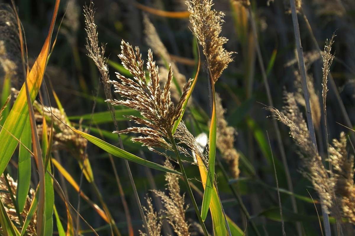 ����� � ������� ����� Natali  ��������� �� PhotoGeek.ru #������ ��� ������� #����� ��������������