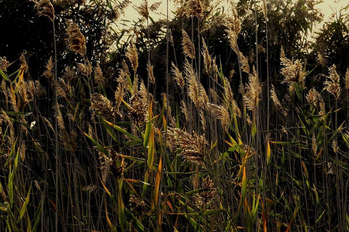 ����� � ������� 2 ����� Natali  ��������� �� PhotoGeek.ru #������ ��� ������� #����� ��������������