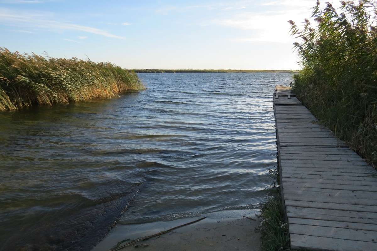 �����. �� ��� �������� ))) ����� Natali  ��������� �� PhotoGeek.ru #������ ��� ������� #����� ��������������