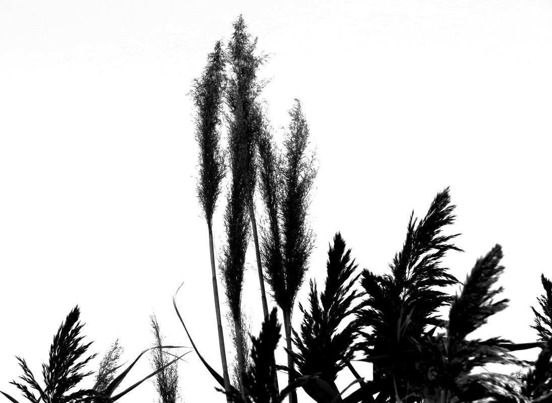 ... ����� Natali  ��������� �� PhotoGeek.ru #������ ��� ������� #�����-�����