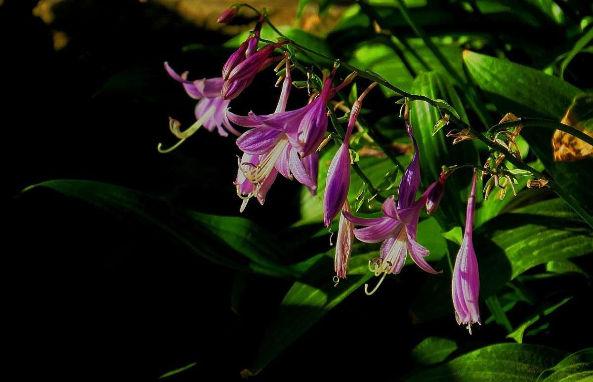 ����� ����� Natali  ��������� �� PhotoGeek.ru #������ ��� ������� #����� ��������������