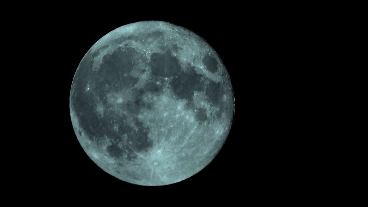 ... ����� Natali  ��������� �� PhotoGeek.ru #������ #����� ��������