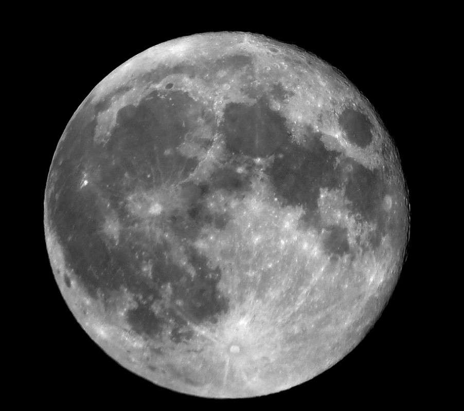 ... ����� Natali  ��������� �� PhotoGeek.ru #������