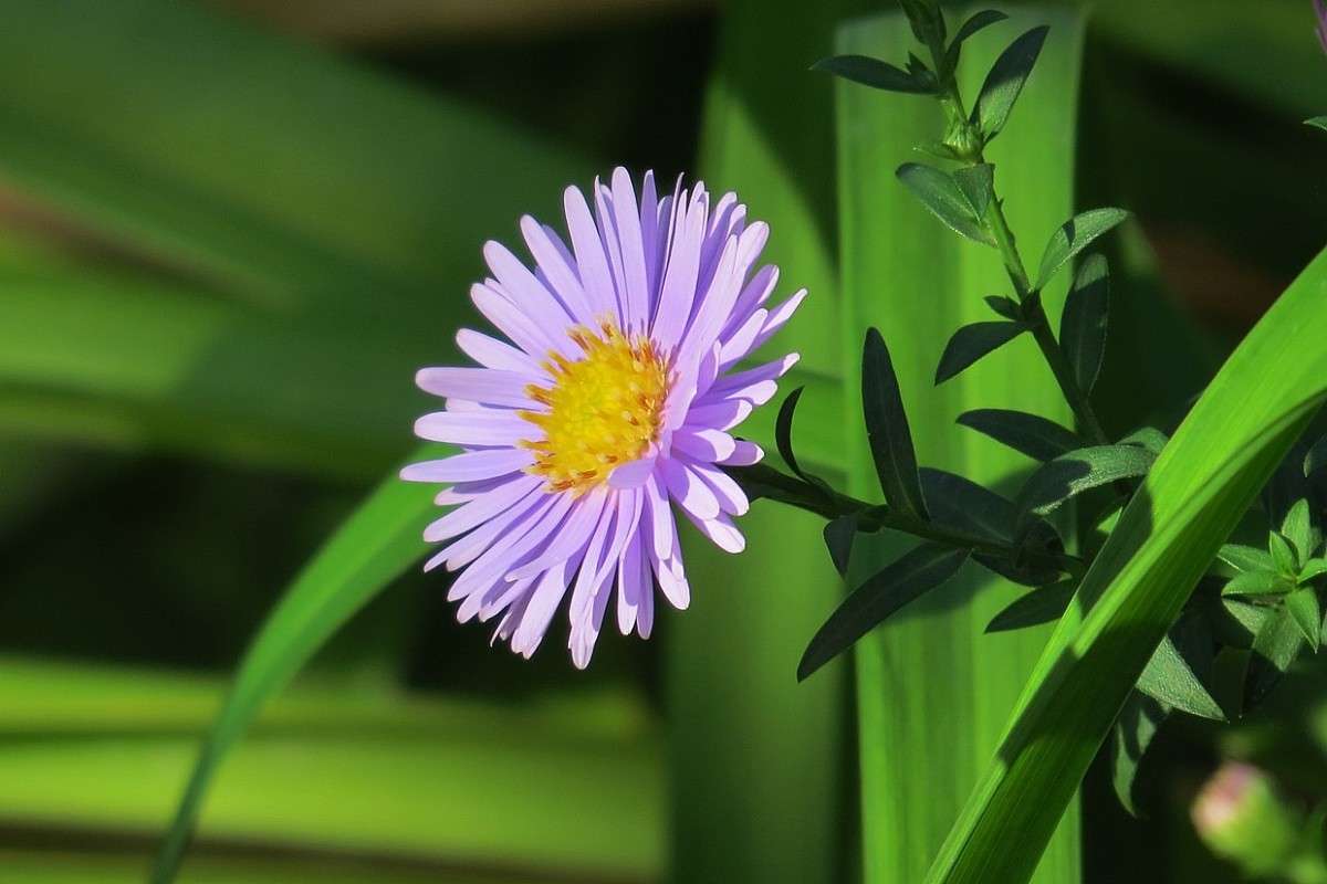 ... ����� Natali  ��������� �� PhotoGeek.ru #������ ��� ������� #����� ��������������