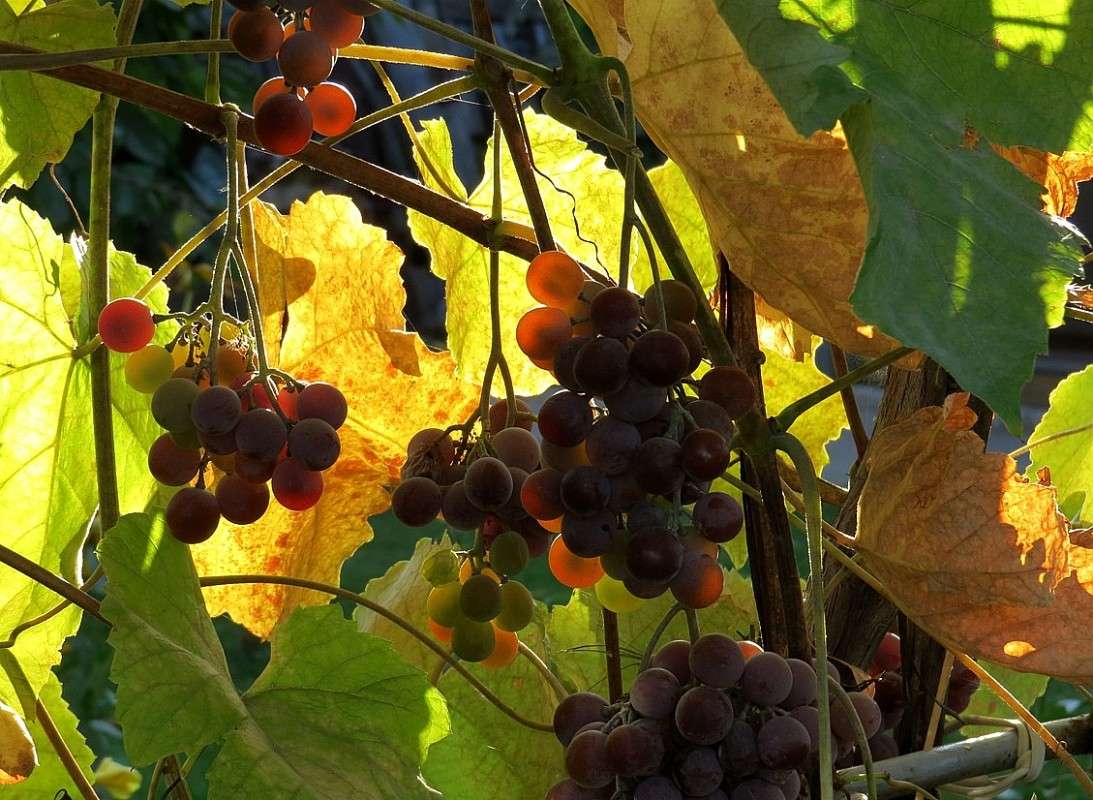 ... ����� Natali  ��������� �� PhotoGeek.ru #������ ��� ������� #����� ��������������