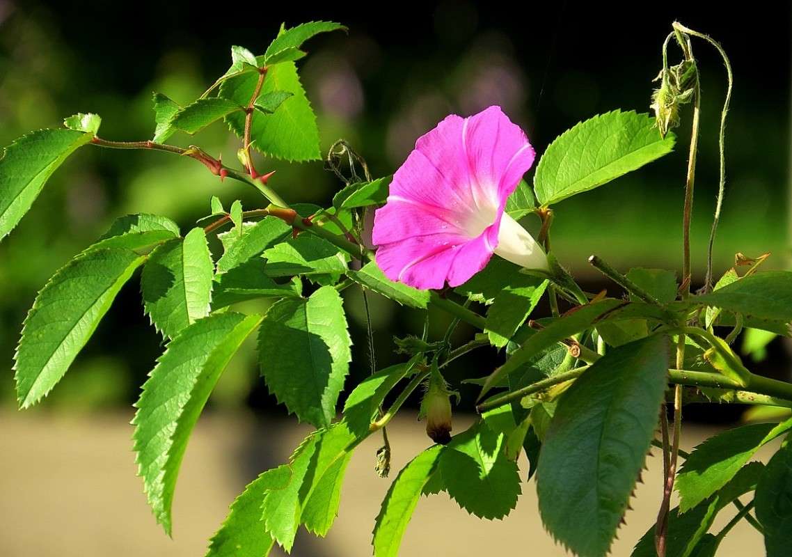 ... ����� Natali  ��������� �� PhotoGeek.ru #������ ��� ������� #����� ��������������