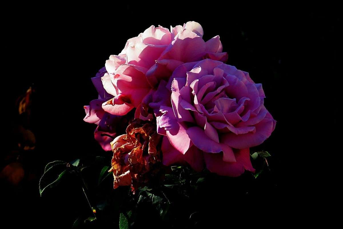 ���� � ���� ...) ����� Natali  ��������� �� PhotoGeek.ru #������ ��� ������� #����� ��������������