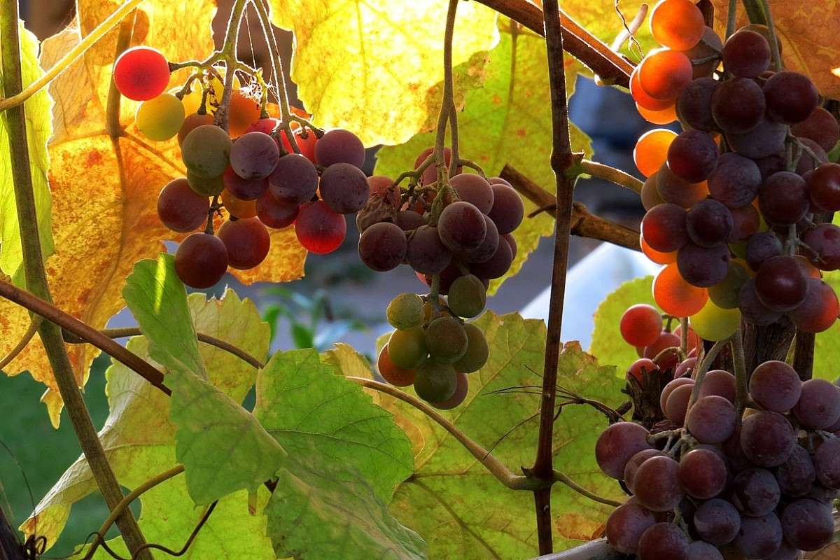 ... ����� Natali  ��������� �� PhotoGeek.ru #������ ��� ������� #����� ��������������