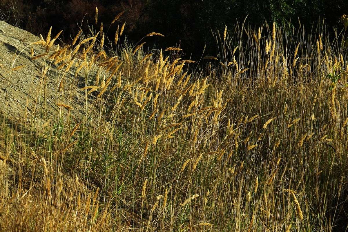 ... ����� Natali  ��������� �� PhotoGeek.ru #������ ��� ������� #����� ��������������