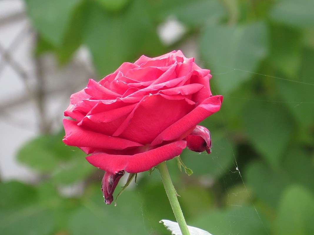 ... ����� Natali  ��������� �� PhotoGeek.ru #������ ��� ������� #����� ��������������