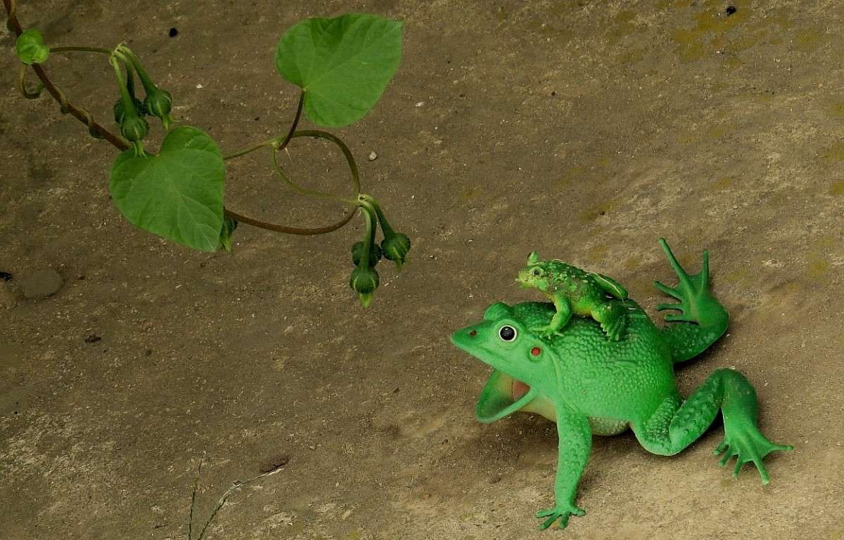 ))) ����� Natali  ��������� �� PhotoGeek.ru #�������� ���������� #����� �������������� #��������������� #������