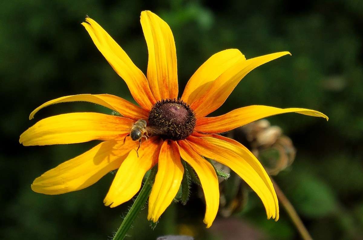 �� ������ ) ����� Natali  ��������� �� PhotoGeek.ru #����� ��������������