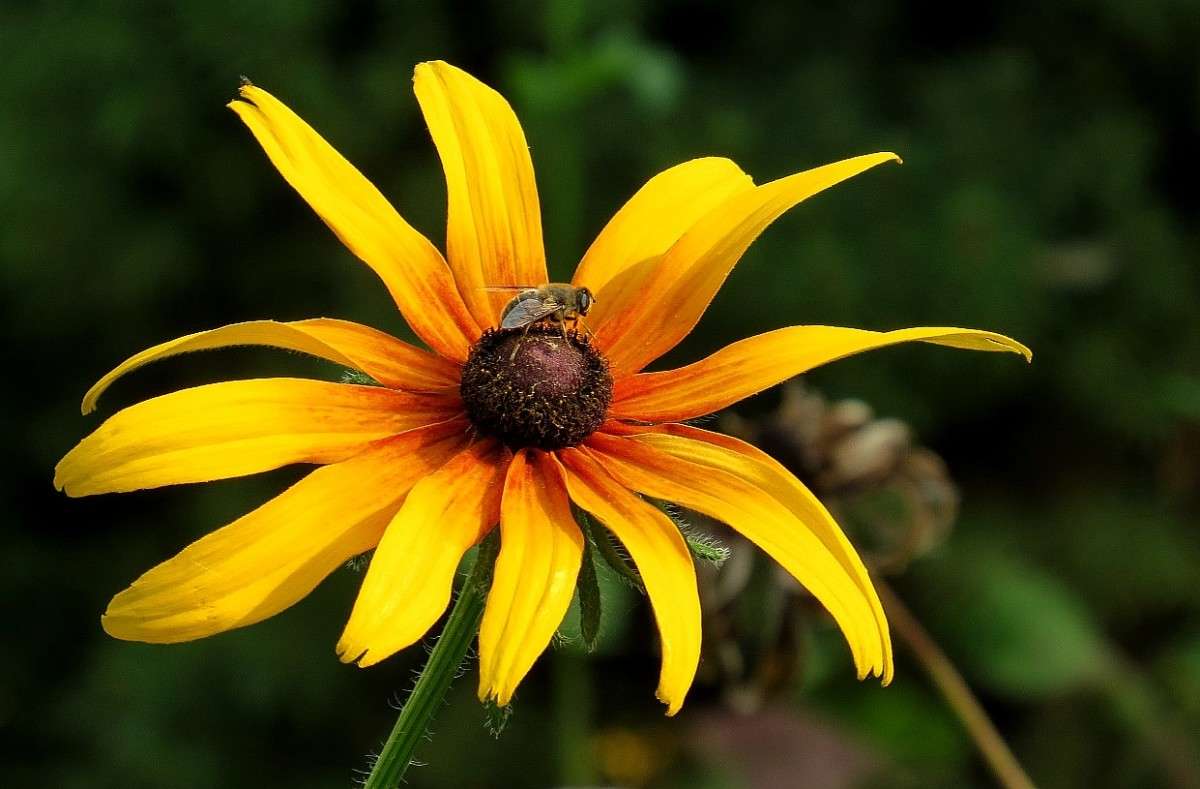 ������� ��������� ))) ����� Natali  ��������� �� PhotoGeek.ru #����� ��������������