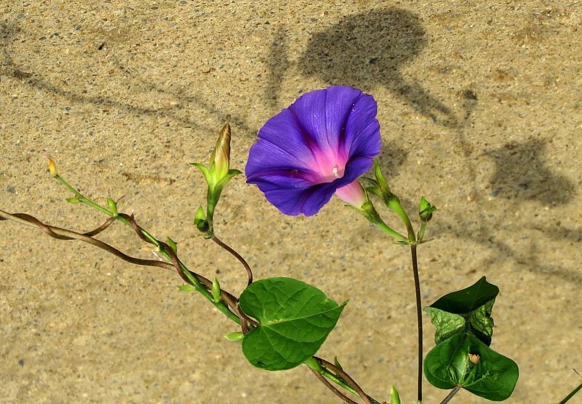 ... ����� Natali  ��������� �� PhotoGeek.ru #����� ��������������