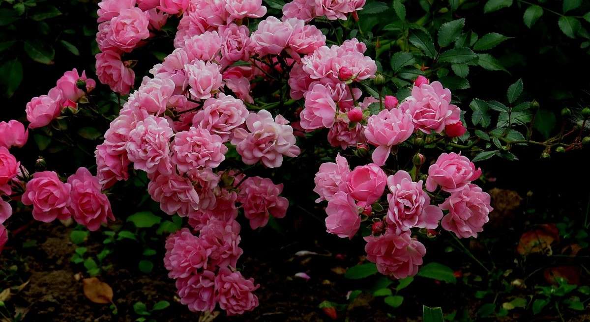 ������� ����� ����� Natali  ��������� �� PhotoGeek.ru #������ ��� ������� #����� ��������������