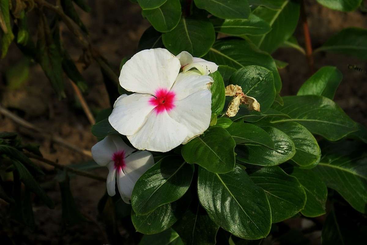 ... ����� Natali  ��������� �� PhotoGeek.ru #������ ��� ������� #����� ��������������