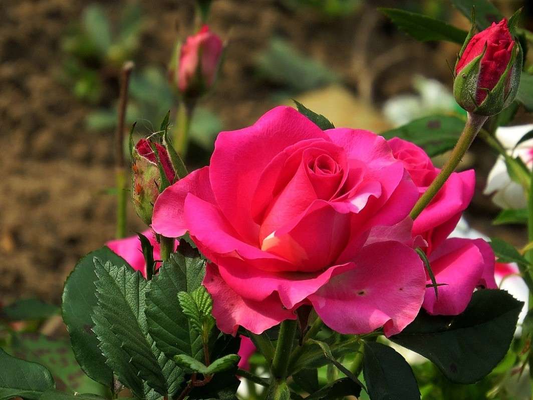 ... ����� Natali  ��������� �� PhotoGeek.ru #������ ��� ������� #����� ��������������