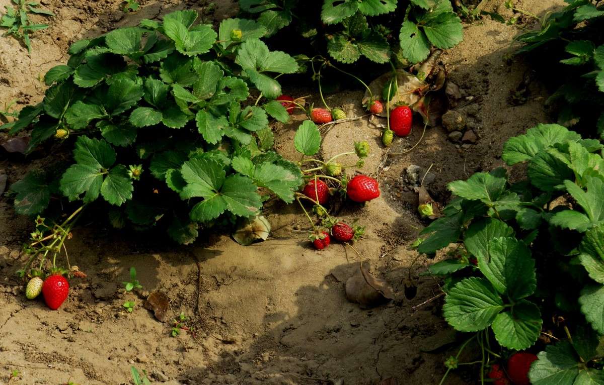 ������� ����� ) ����� Natali  ��������� �� PhotoGeek.ru #������ ��� ������� #����� ��������������