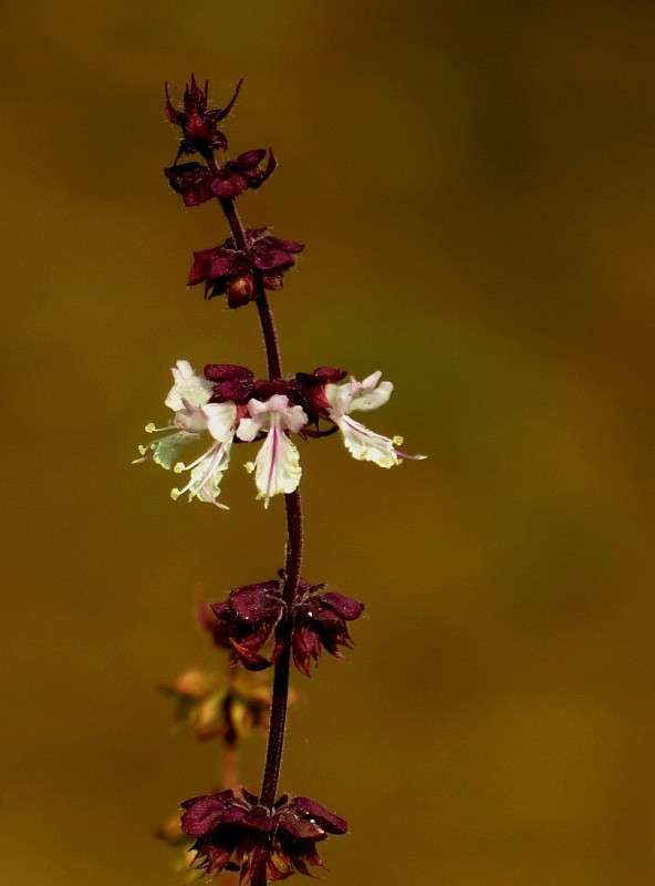 ����� �������� ����� Natali  ��������� �� PhotoGeek.ru #����� #������ ��� ������� #����� ��������������