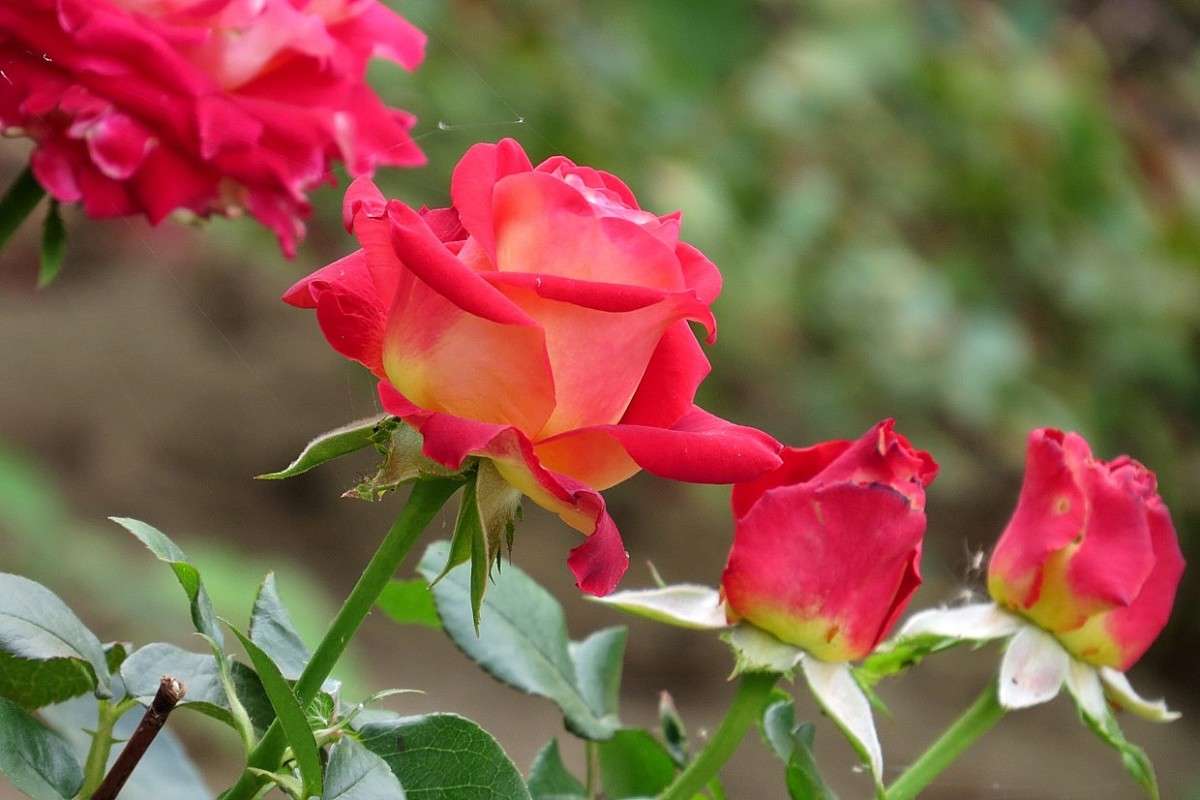 �������� ���� ����� Natali  ��������� �� PhotoGeek.ru #������ ��� ������� #����� ��������������