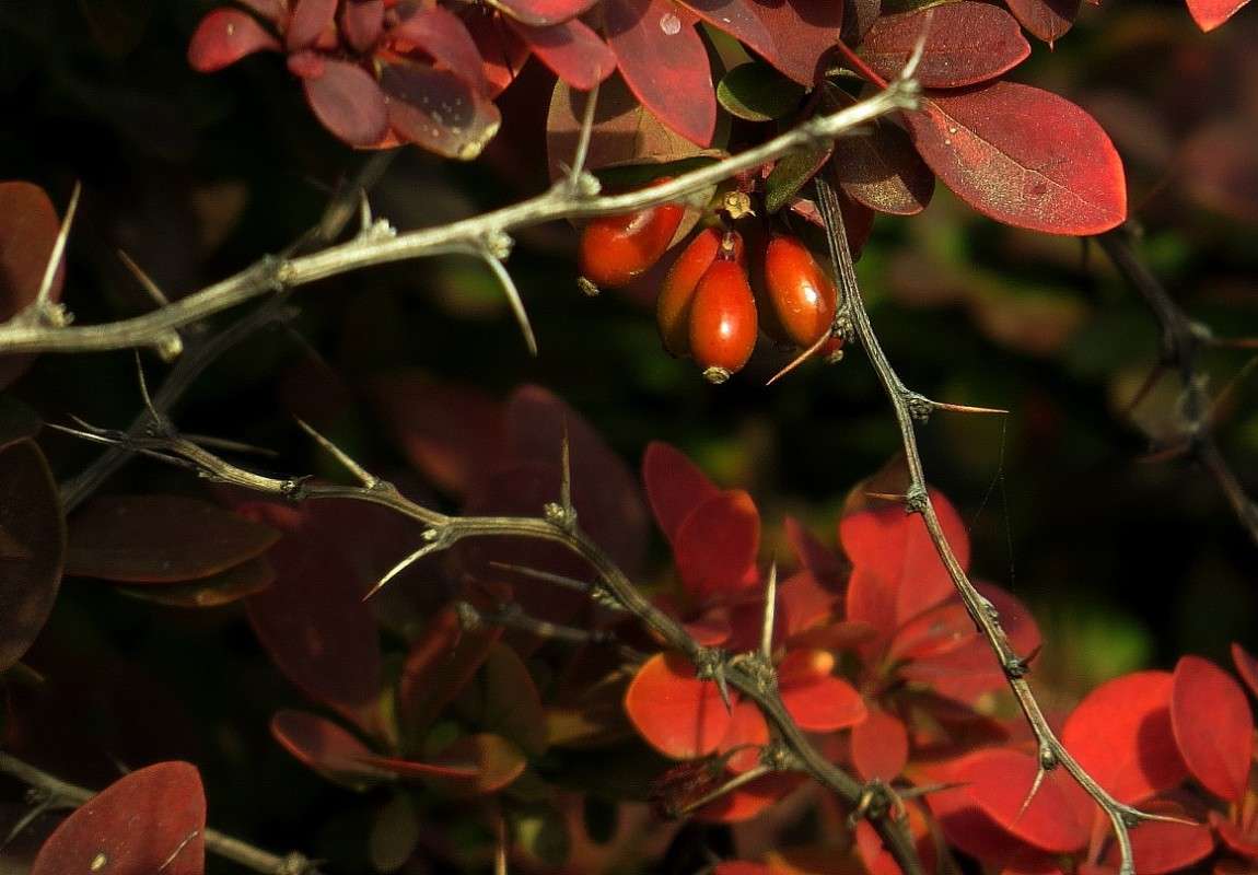 ������ ������ ... ) ����� Natali  ��������� �� PhotoGeek.ru #������ ��� ������� #����� ��������������