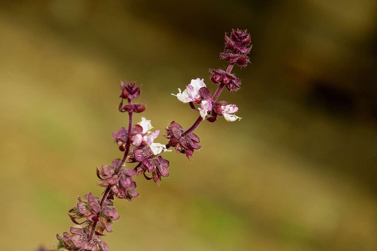 ������� ������ ))) ����� Natali  ��������� �� PhotoGeek.ru #������ ��� ������� #����� ��������������