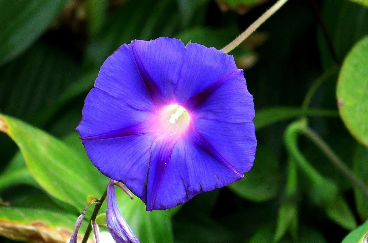 ��� ������ ��������� .... ) ����� Natali  ��������� �� PhotoGeek.ru #������ ��� ������� #����� ��������������