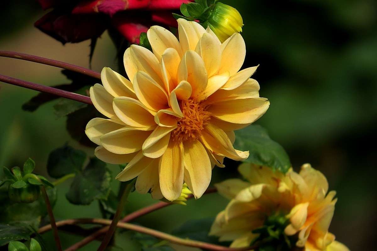 � �������� ) ����� Natali  ��������� �� PhotoGeek.ru #������ ��� ������� #����� ��������������