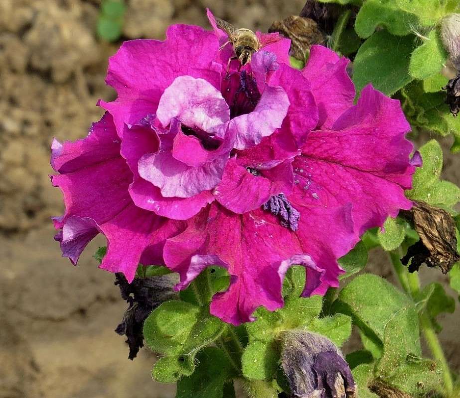 ��, .... ����������, ������� - �� ! ...) ����� Natali  ��������� �� PhotoGeek.ru #������ ��� ������� #����� ��������������