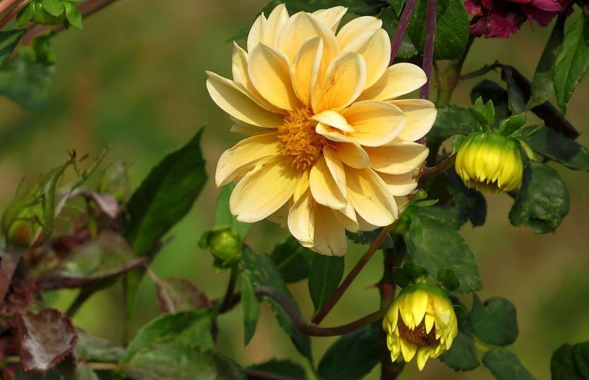 � ������� ))) ����� Natali  ��������� �� PhotoGeek.ru #������ ��� ������� #����� ��������������