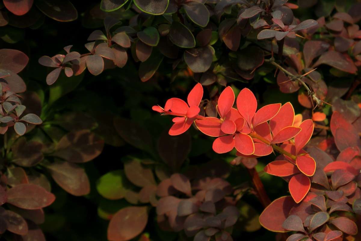 ������ ) ����� Natali  ��������� �� PhotoGeek.ru #������ ��� ������� #����� ��������������