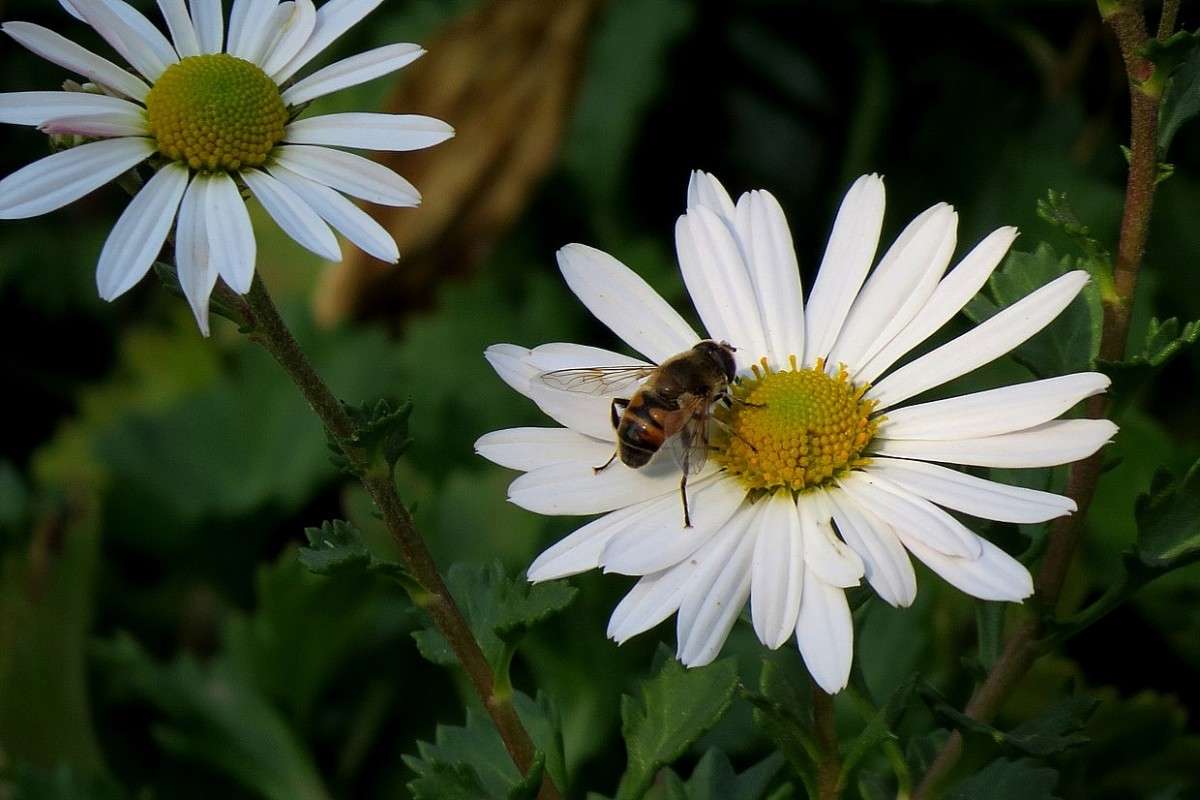 ����� �������� ������������ ) ����� Natali  ��������� �� PhotoGeek.ru #������ ��� ������� #����� ��������������