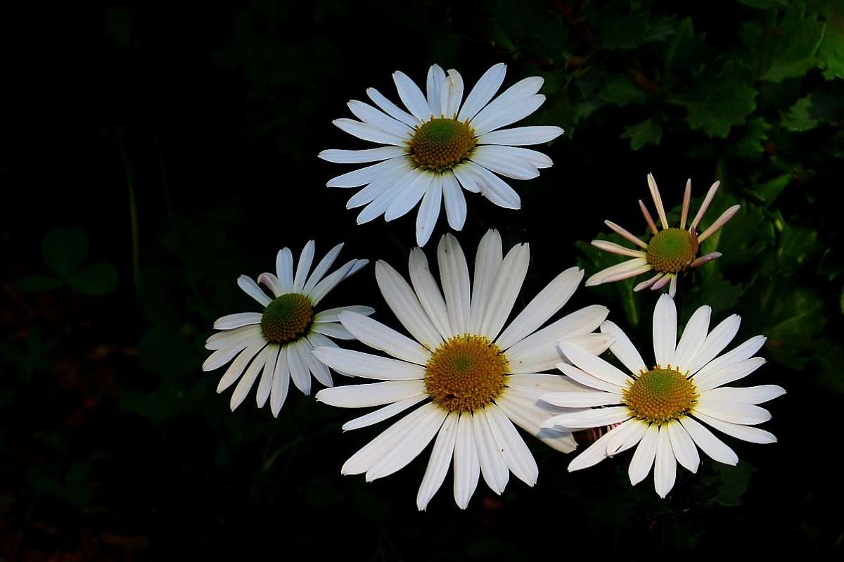 ... ����� Natali  ��������� �� PhotoGeek.ru #������ ��� ������� #����� ��������������