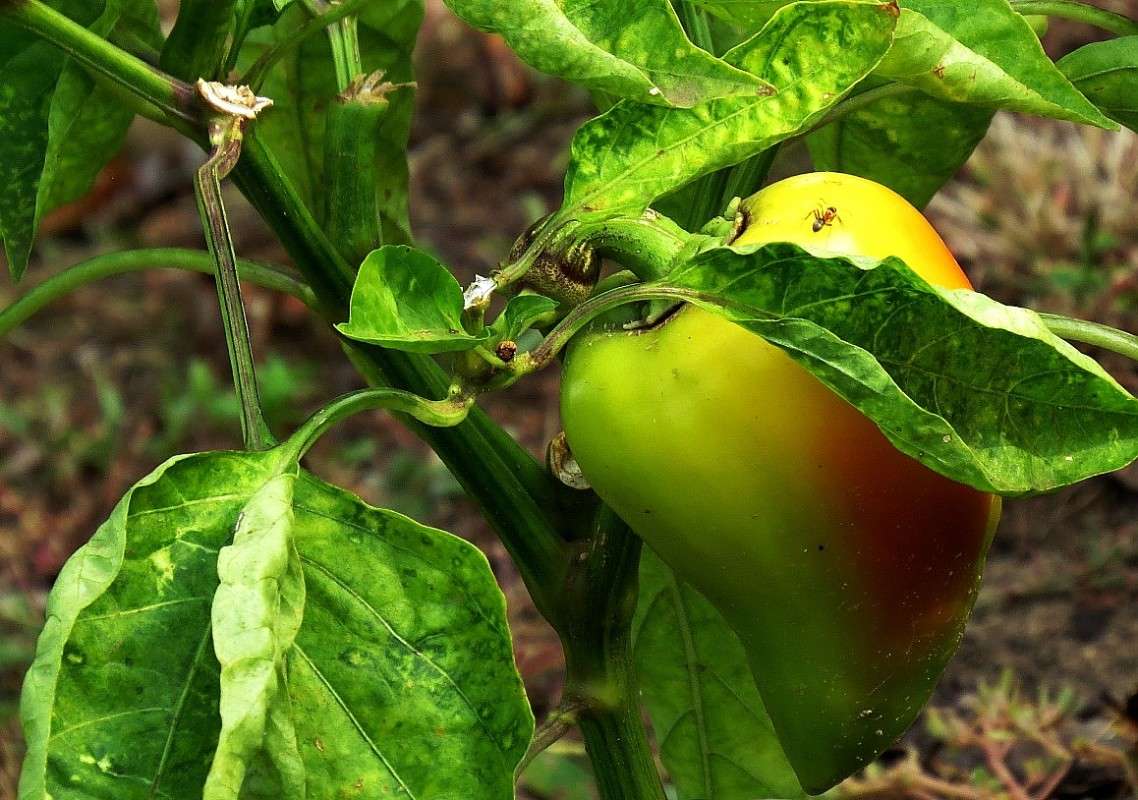 ... ����� Natali  ��������� �� PhotoGeek.ru #������ ��� ������� #����� ��������������