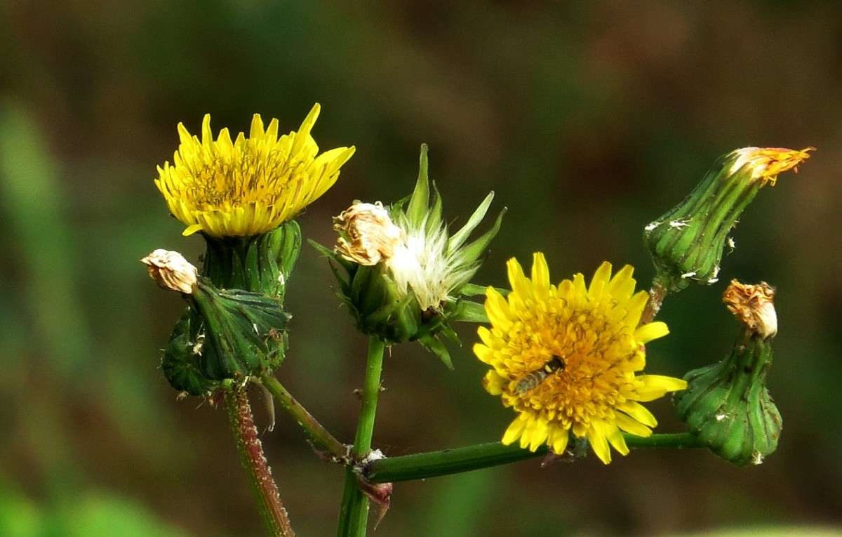 ��������-� ...) ����� Natali  ��������� �� PhotoGeek.ru #������ ��� ������� #����� ��������������