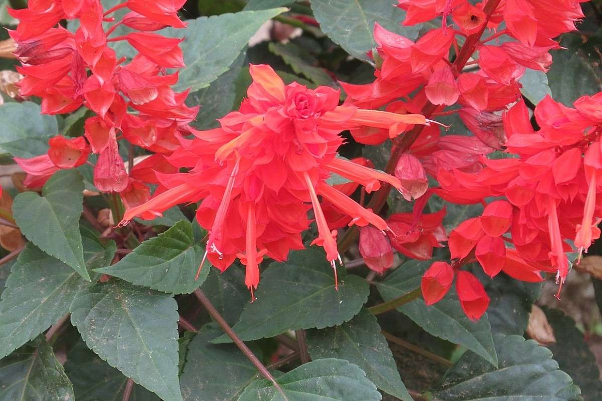 ... ����� Natali  ��������� �� PhotoGeek.ru #������ ��� ������� #����� ��������������