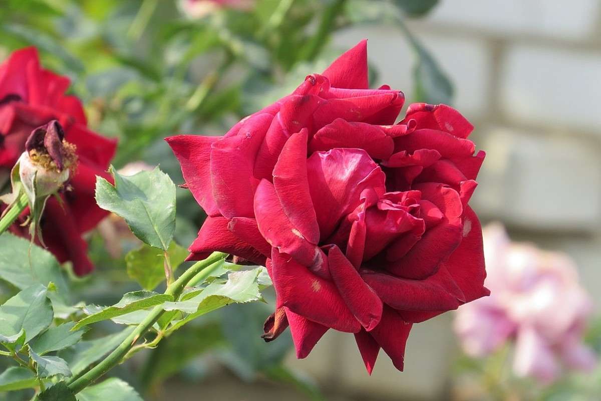 ... ����� Natali  ��������� �� PhotoGeek.ru #������ ��� ������� #����� ��������������