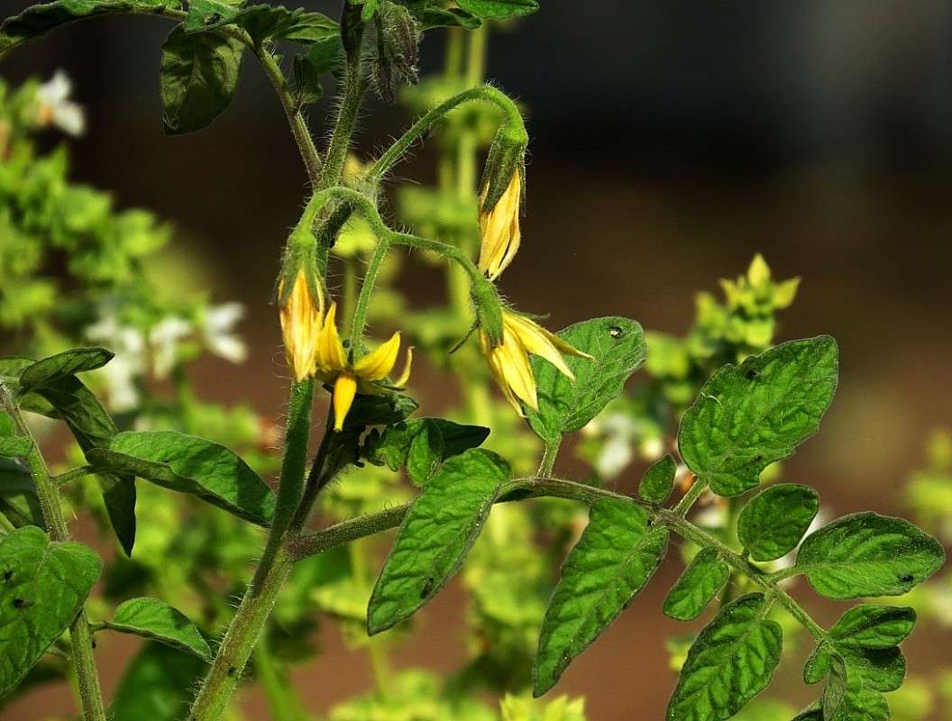 �������� � ������� ))) ����� Natali  ��������� �� PhotoGeek.ru #������ ��� ������� #����� ��������������