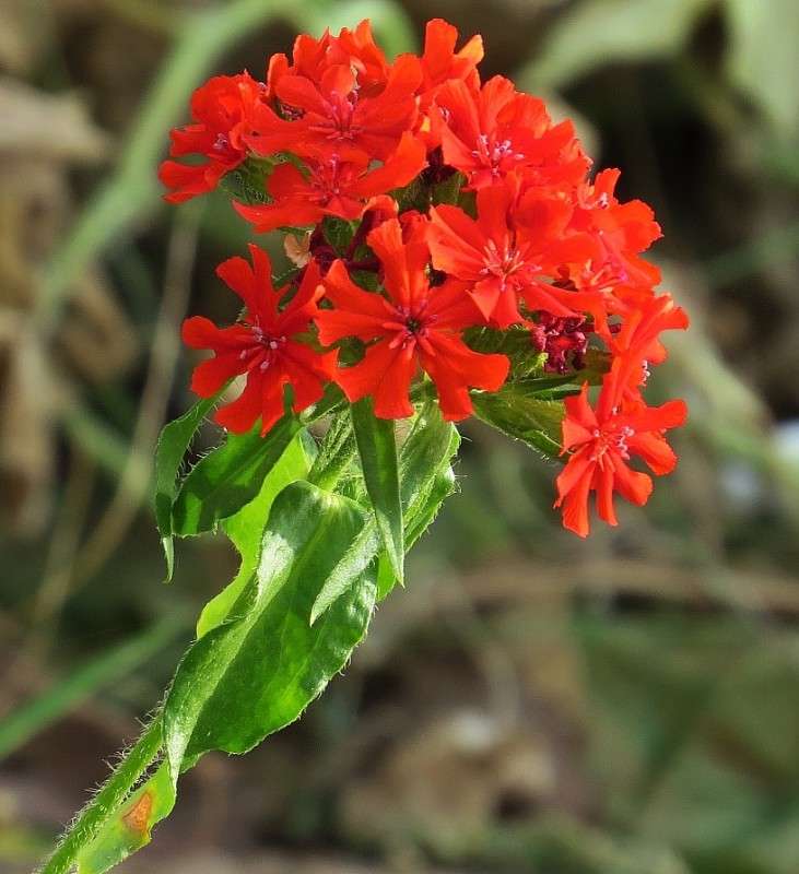 ����� � ������� ����� Natali  ��������� �� PhotoGeek.ru #������ ��� ������� #����� ��������������