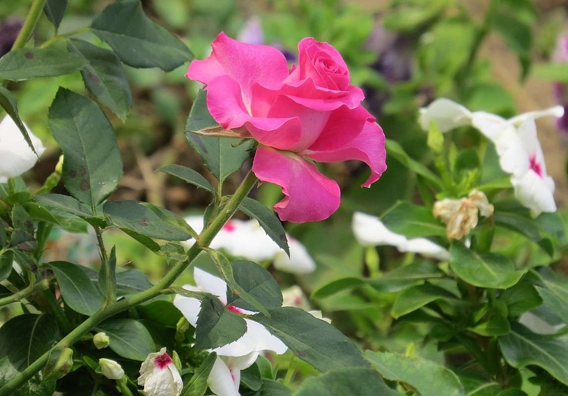 ����� � ������� 2 ����� Natali  ��������� �� PhotoGeek.ru #������ ��� ������� #����� ��������������