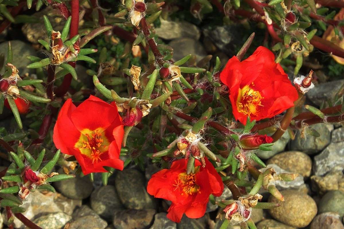 ����� � ����� ) ����� Natali  ��������� �� PhotoGeek.ru #������ ��� ������� #����� ��������������