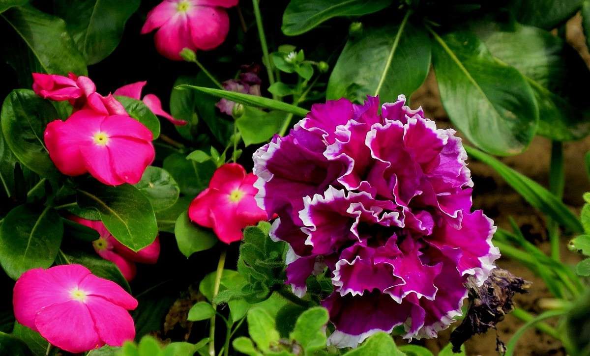 ����� ����� 5 ����� Natali  ��������� �� PhotoGeek.ru #������ ��� ������� #����� ��������������