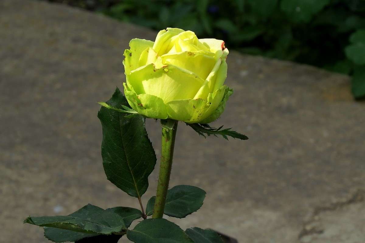 ����� ����� 2 ����� Natali  ��������� �� PhotoGeek.ru #������ ��� ������� #����� ��������������