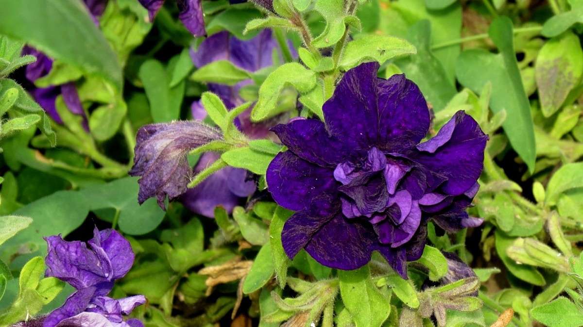 ����� ����� 4 ����� Natali  ��������� �� PhotoGeek.ru #������ ��� ������� #����� ��������������