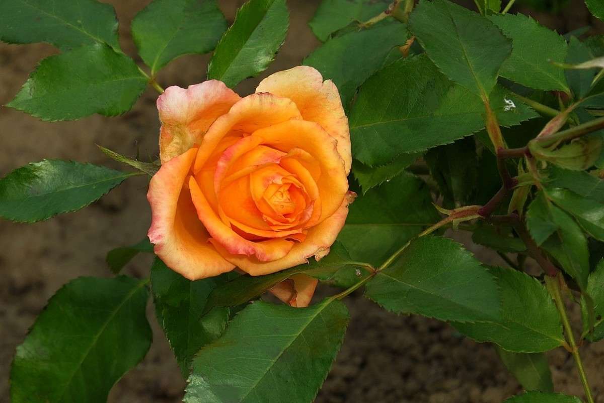 ����� ����� 3 ����� Natali  ��������� �� PhotoGeek.ru #������ ��� ������� #����� ��������������