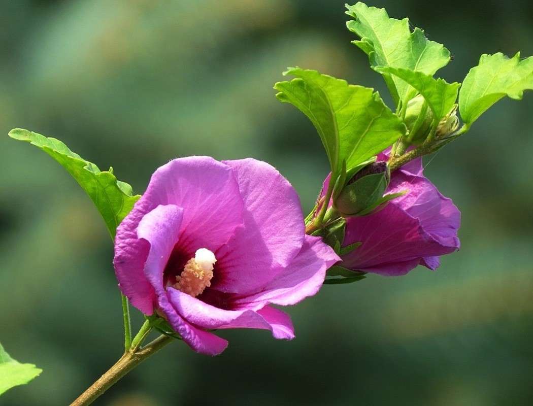 ... ����� Natali  ��������� �� PhotoGeek.ru #������ ��� ������� #����� ��������������