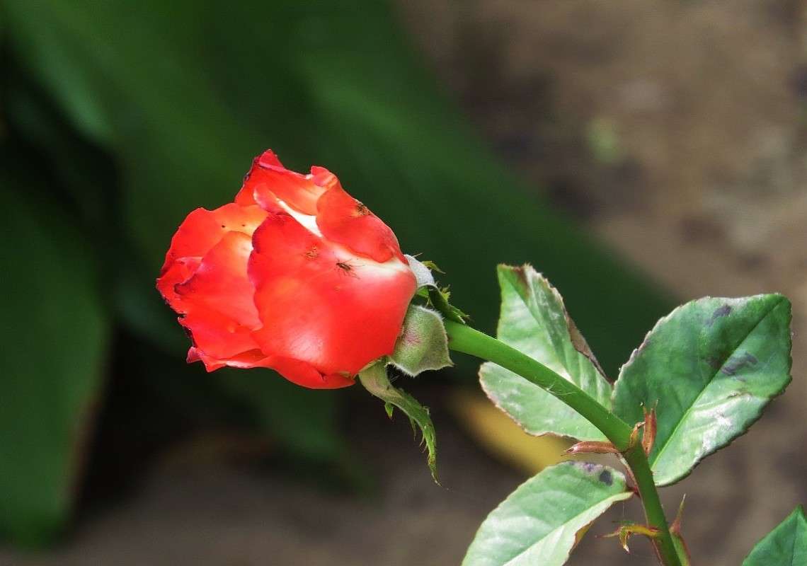 ... ����� Natali  ��������� �� PhotoGeek.ru #������ ��� ������� #����� ��������������