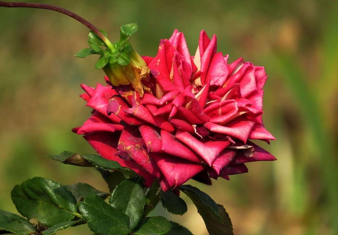 ... ����� Natali  ��������� �� PhotoGeek.ru #������ ��� ������� #����� ��������������